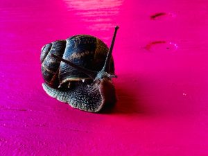 Read more about the article Wie anstrengend ist es, eine Schule zu gründen?